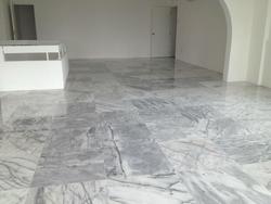 Leonie Towers (D9), Apartment #83705932